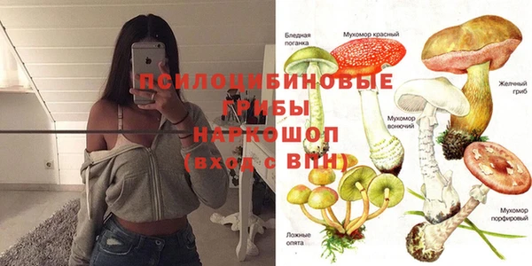 герыч Алексеевка