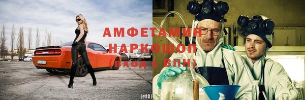 мет Алексин